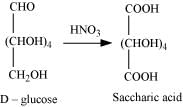 NCERT Solutions Class 11 Biology Chapter 9 - Biomolecules